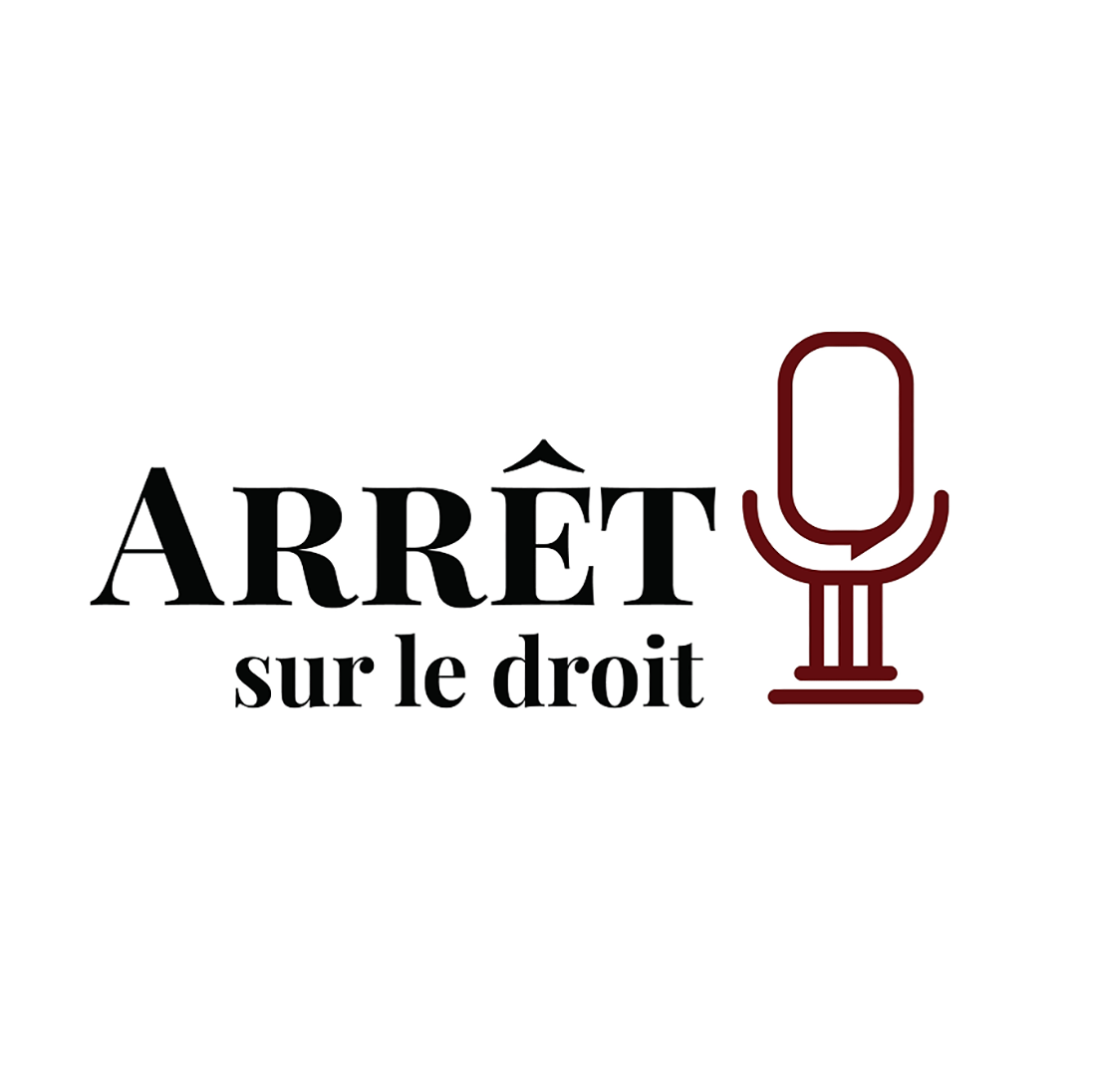 Logo Arrêt sur le droit