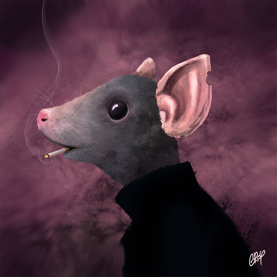 Rat